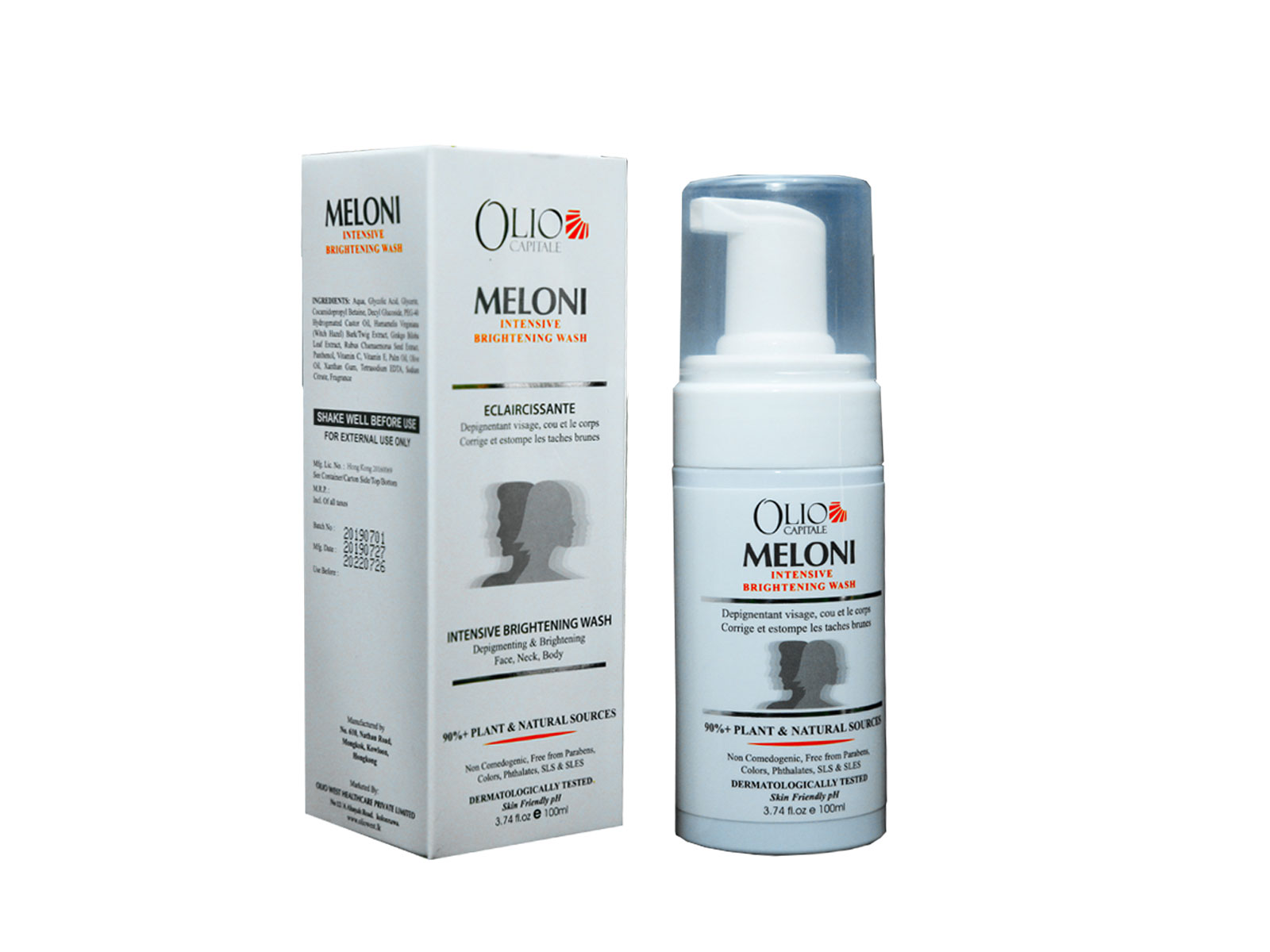 Meloni2.jpg
