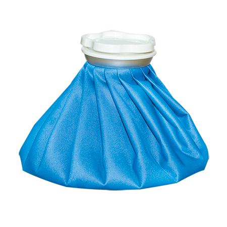 elife-ice-bag.png